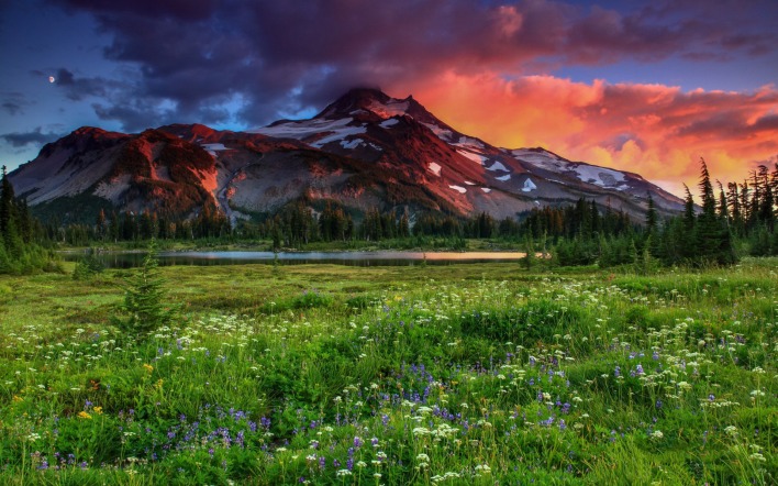 горы поляна цветы небо закат