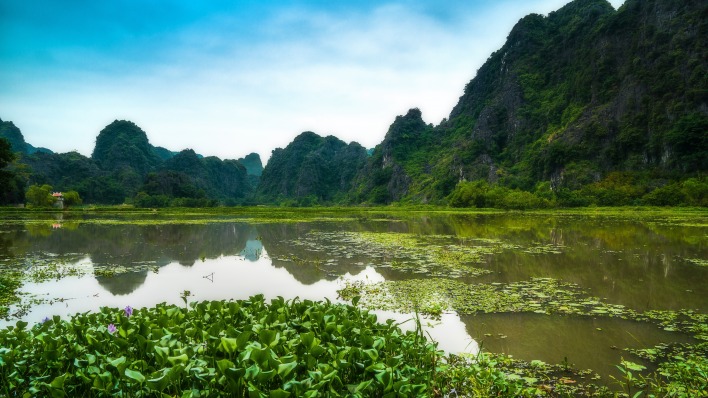 болото горы кувшинки тайланд