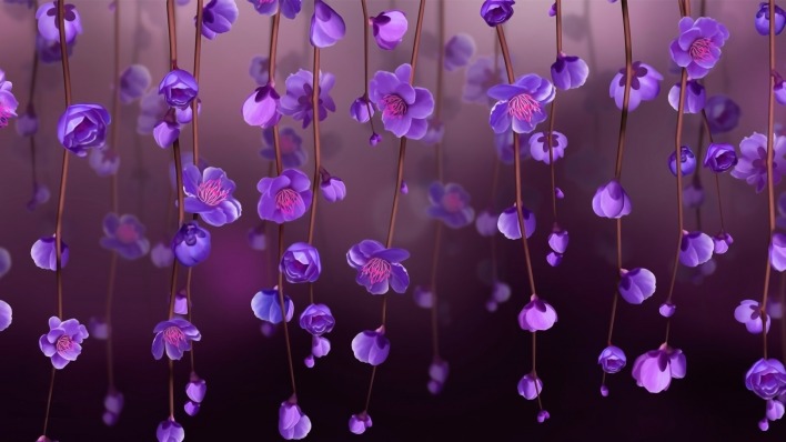 цветы фиолетовые ветви лепестки