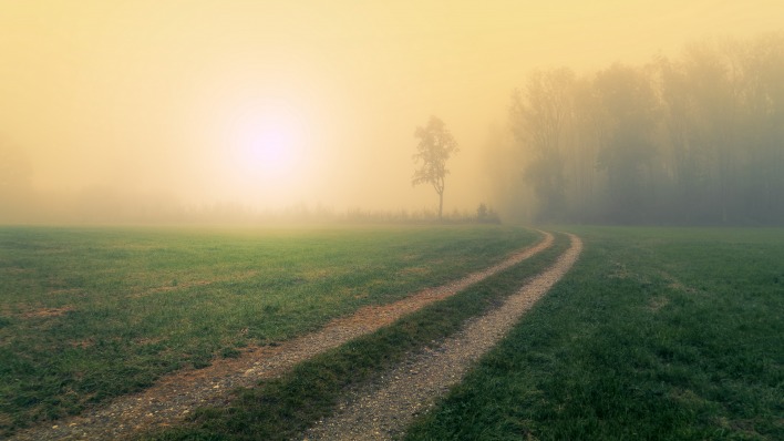 дорога солнце рассвет туман поле