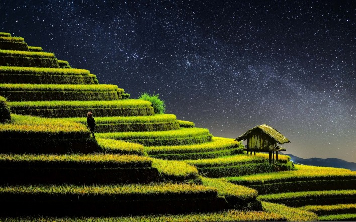 склон рисовое поле ночь звезды