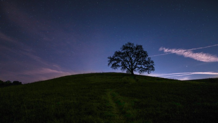 холм ночь звезды дерево