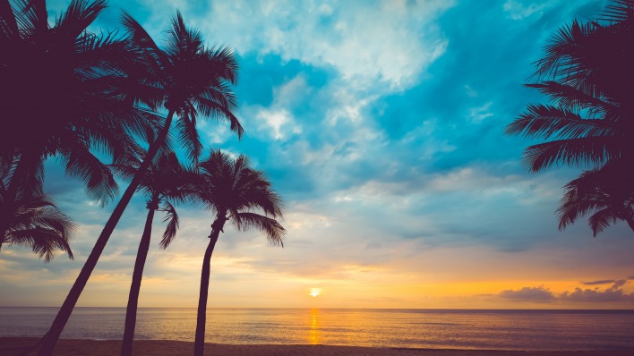 океан пальмы закат горизонт