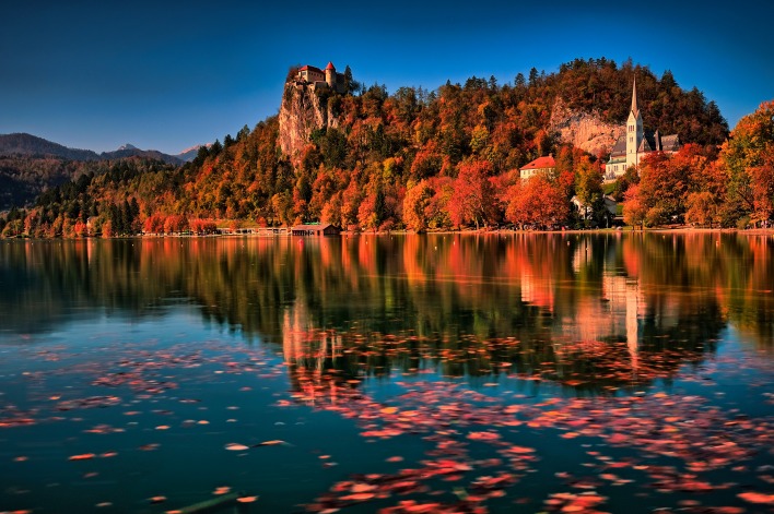 осень озеро листья отражение