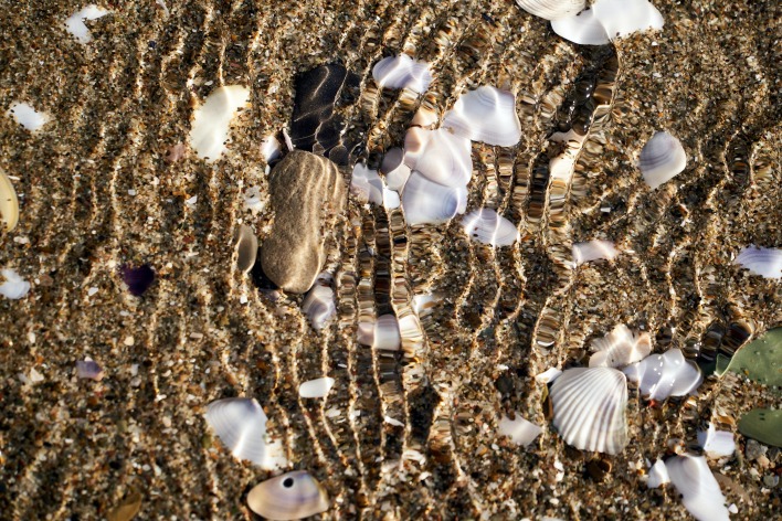камни песок дно вода прозрачный