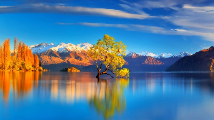 озеро дерево горы на закате
