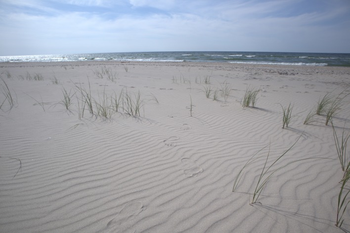 пляж балтийское море куршская коса