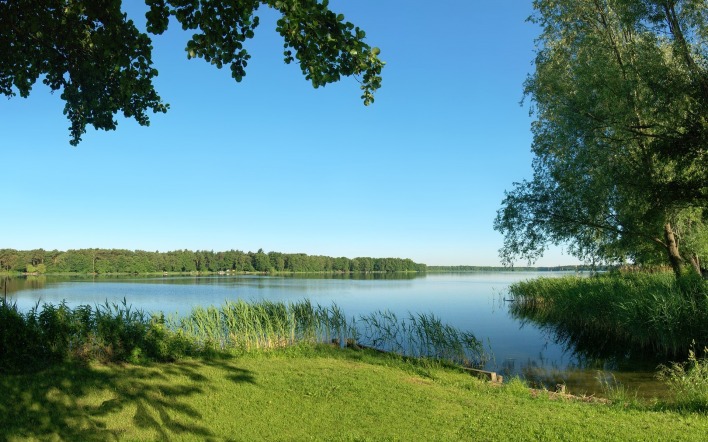 озеро природа пейзаж лето