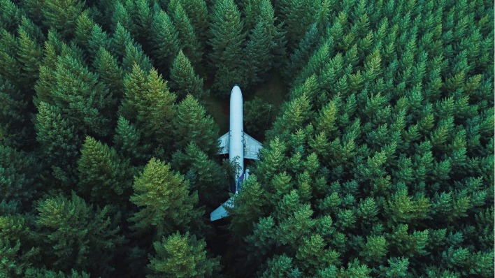 лес самолет вид сверху