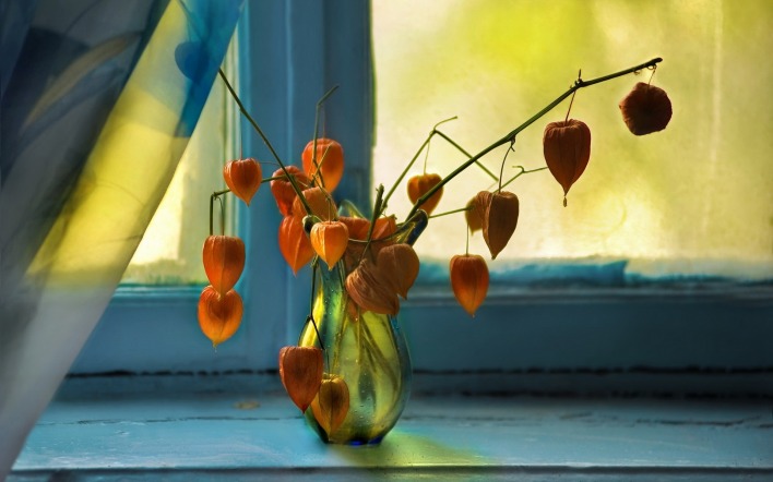 ваза подоконник цветы окно