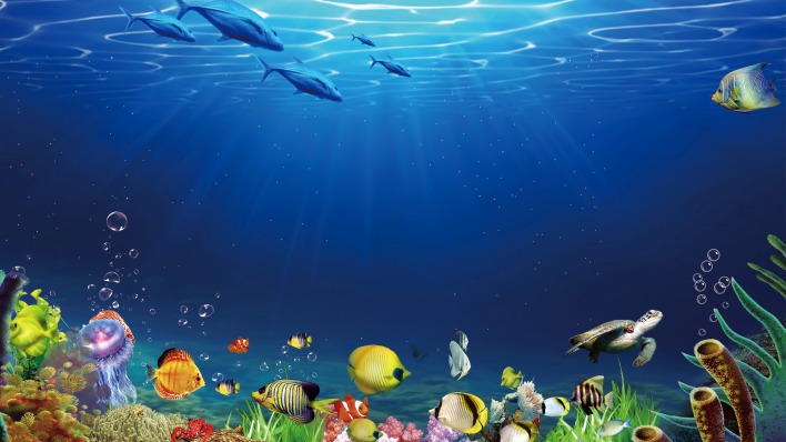 океан рыбы подводный мир 3d