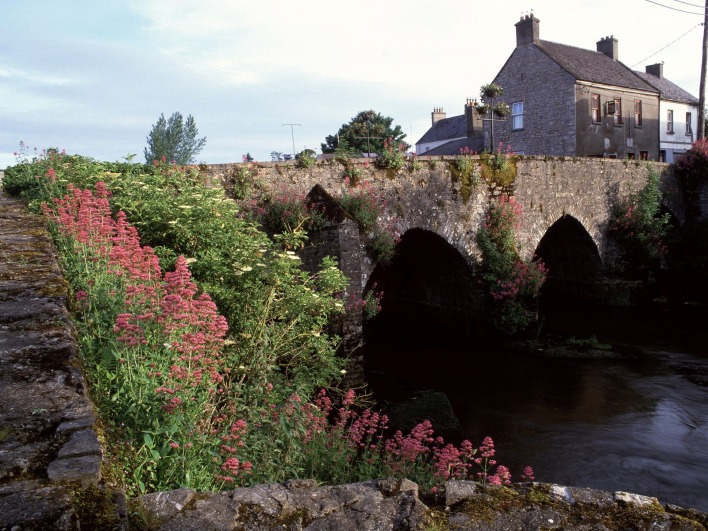 River Boyne, County Meath, Ireland