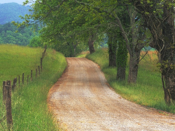 Country Road through Cades Cove, Great Smoky Mountains, Tennessee