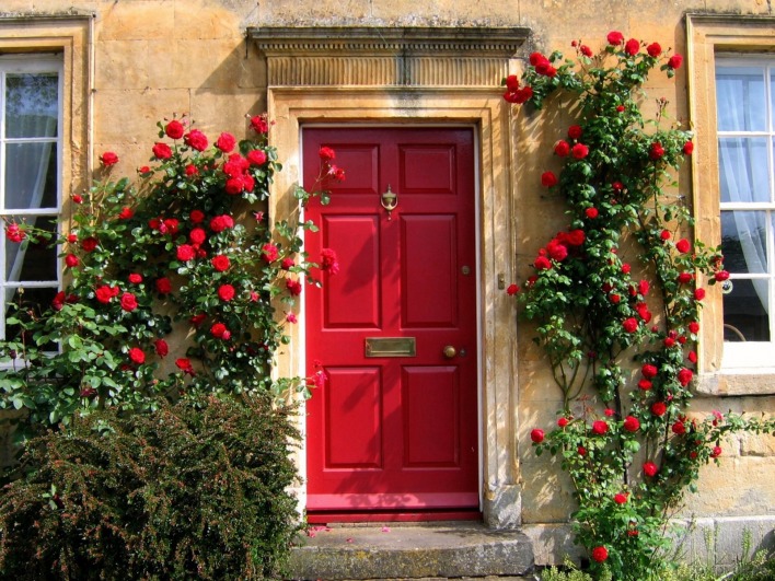Розы по стене, Англия