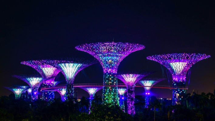 гирлянды сингапур парк свечение