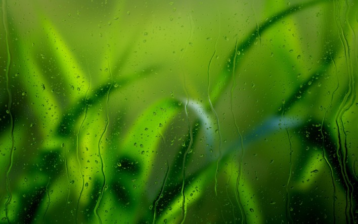 Трава с каплями на стекле