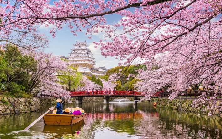 весна япония вода отражение деревья сакуры туризм водный путь