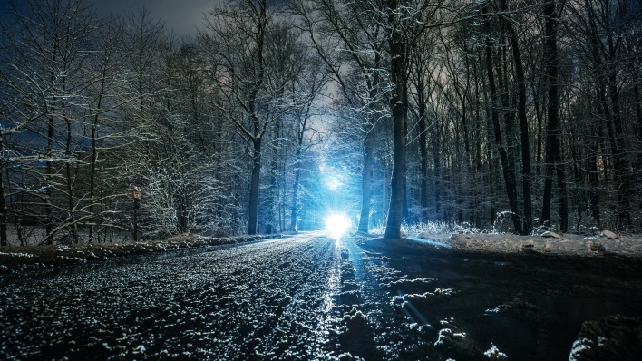 дорога свет лес зима