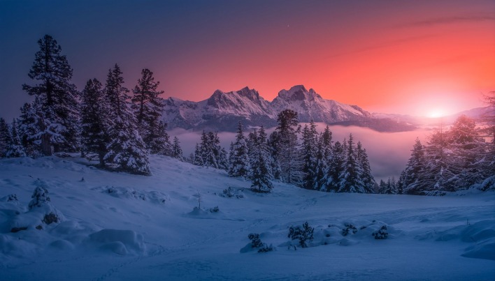 снег закат горы австрия ели