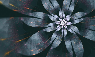 цветок абстракция flower abstraction