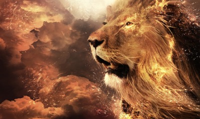 лев, король, джунгли