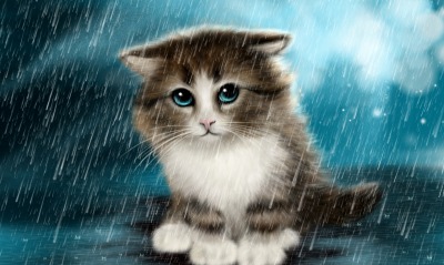 грустный кот дождь анимация