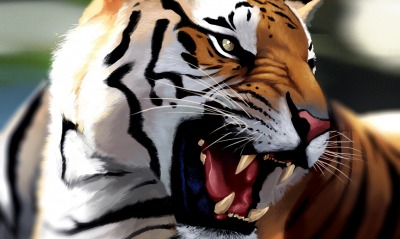 тигр оскал рисунок морда