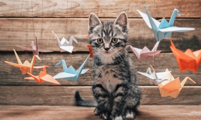 котенок журавлики оригами