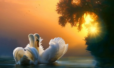 лебеди рассвет лучи закат рисунок
