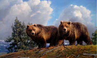медведи гризли небо
