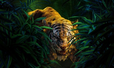 тигр кусты оскал джунгли