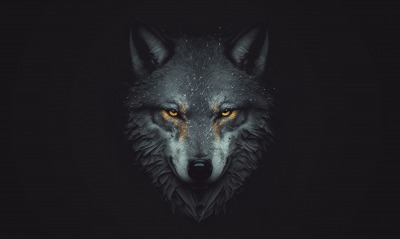 волк минимализм серый темный фон