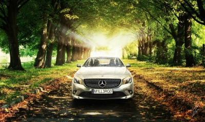 серый автомобиль природа деревья Mercedes