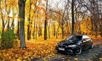 черный автомобиль осень природа BMW