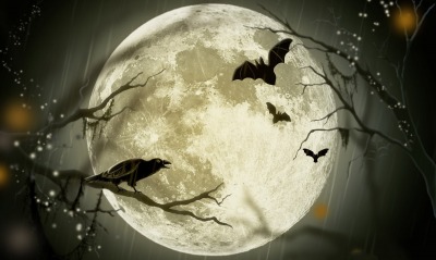 луна ночь летучие мыши ворона ветки