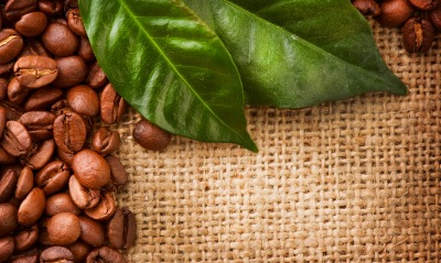 Кофейные зерна с листьями
