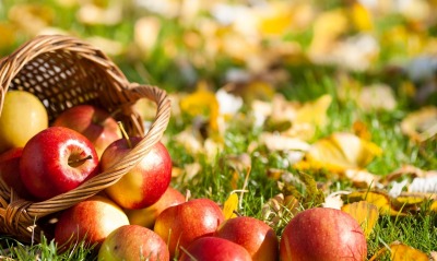 еда природа яблоки листья трава