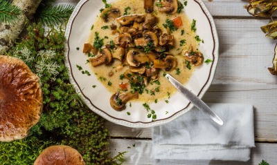 еда грибы суп food mushrooms soup