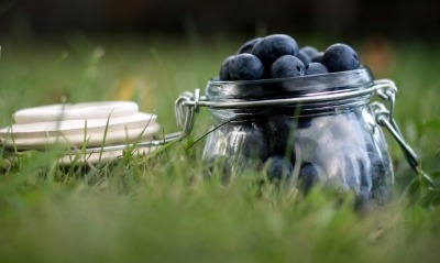 еда черника ягоды food blueberries berries
