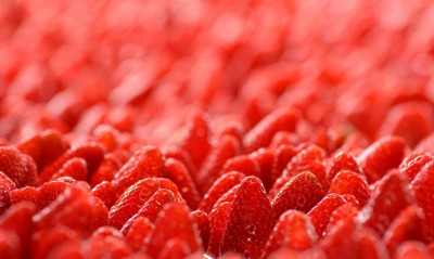 клубника крупный план ягоды