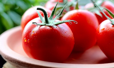 помидоры на ветке томаты
