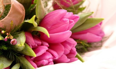 цветы природа тюльпаны букет