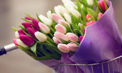 природа цветы тюльпаны букеты