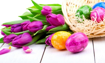 природа цветы яйца пасха праздник