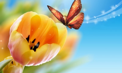 Природа бабочка насекомоец желтый цветок тюльпан