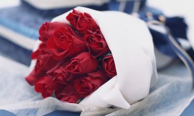природа розы букет красные цветы