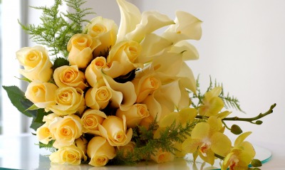 природа цветы желтые розы nature flowers yellow rose