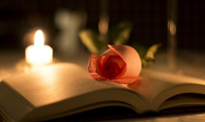 книга цветы роза свеча book flowers rose candle