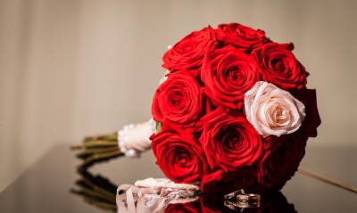 природа цветы розы белая красная nature flowers rose white red