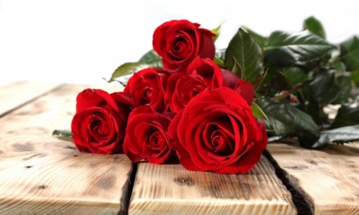 розы букет rose bouquet